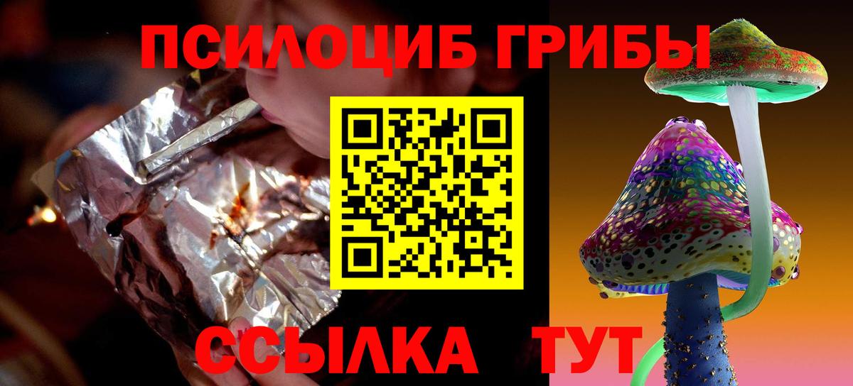 купить  сайты  Псилоцибиновые грибы ЛСД  Вход с VPN  Петрозаводск 