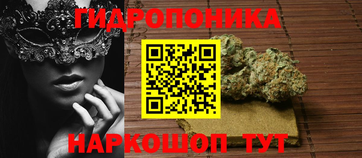 Канабис конопля  Конопля Amnesia  Марихуана ГИДРОПОН  Вход с VPN  Петрозаводск 
